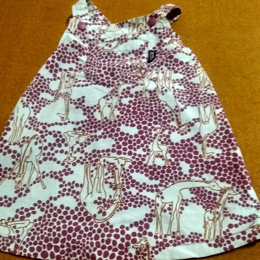Patagonia Baby Baggies Dress
